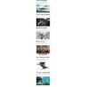 VISUO K1 - 5g - wifi - fpv - gps - 4k hd dual camera - brushless - foldableDrones