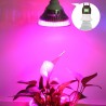 Phytolamp - LED grow light - E27 - 5W - 7W - 9W - 12W - 15W - 18WGrow Lights