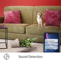 Indoor security camera - with motion detection - WiFi - HD - 1080PSecurity cameras