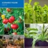 LED plant grow light - phyto lamp - full spectrum - E27 / E14 / 18W / 28W - UV / IRGrow Lights