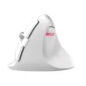Delux M618Mini GX - 2.4GHz - 6 buttons - wireless mouse - vertical - ergonomic - USBMouses