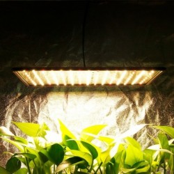 LED plant grow light - phyto lamp - full spectrum - 1000W - 3500KGrow Lights