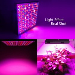 LED plant grow light - full spectrum - hydroponic - red / blue / UV / IR - 25W - 45WGrow Lights