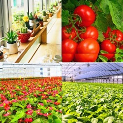 LED plant grow light - full spectrum - hydroponic lamp - 25W / 45W / 120WGrow Lights