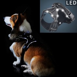 Dog's harness - with LED - adjustable - reflective - waterproofCollars & Leads