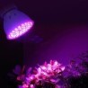 LED plant grow light - bulb - hydroponic - full spectrum - E27 / E14 / MR16/ GU10 - 220V - 2 piecesGrow Lights