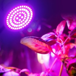 LED plant grow light - bulb - hydroponic - full spectrum - E27 / E14 / MR16/ GU10 - 220V - 2 piecesGrow Lights