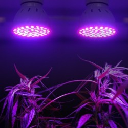 LED plant grow light - bulb - hydroponic - full spectrum - E27 / E14 / MR16/ GU10 - 220V - 2 piecesGrow Lights