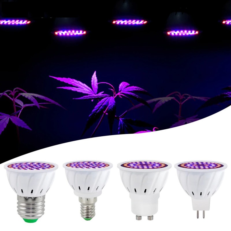 LED plant grow light - bulb - hydroponic - full spectrum - E27 / E14 / MR16/ GU10 - 220V - 2 piecesGrow Lights