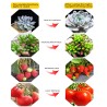 Plant grow lamp - LED light - Samsung LM561C Cree 660nm chip - 73W / 150WGrow Lights