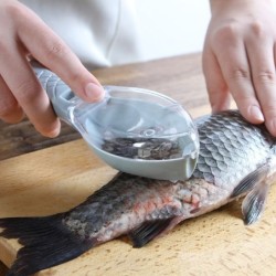 Fish cleaning - scraping scales toolCutlery