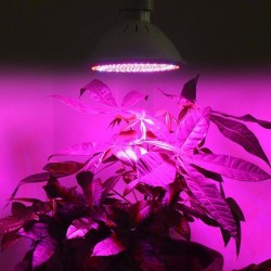 E27 LED lamp - 200 LED - grow lamp - hydroponics - 2 piecesGrow Lights
