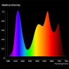 Plant grow lamp - LED light panel - full spectrum - hydroponicGrow Lights