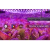 Plant grow lamp - LED light panel - full spectrum - hydroponicGrow Lights