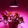 135W - LED grow light - 3500 lumen full spectrum - ufo - roundGrow Lights