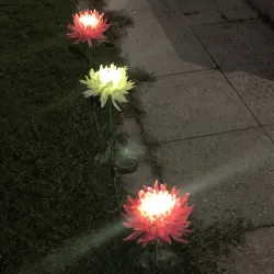 Chrysanthemum flower shaped lamp - garden light - solar - LED - waterproofSolar lighting