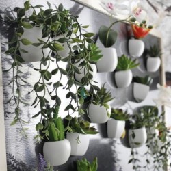 Decorative fridge magnets - table / desktop decoration - cactus - orchidFridge magnets