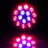 LED plant grow lamp - hydroponic light - E27 - 6W - 15W - 21W - 27W - 36W - 45W - 54WGrow Lights