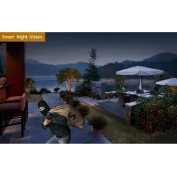 Security CCTV camera - night vision - outdoor - WiFi - 2MP - PTZ - HD - 1080PSecurity cameras