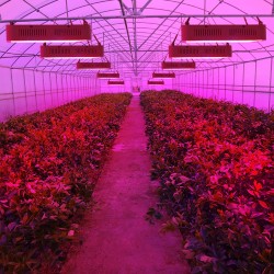 LED plant grow light - full spectrum - 300W - 1600WGrow Lights