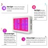 LED plant grow light - full spectrum - 300W - 1600WGrow Lights