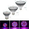 LED bulb - plant grow light - full spectrum - hydroponic - E27 - 10W - 30W - 50W - 80WGrow Lights
