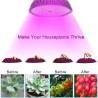 LED bulb - plant grow light - full spectrum - hydroponic - E27 - 10W - 30W - 50W - 80WGrow Lights