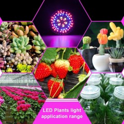 LED bulb - plant grow light - full spectrum - hydroponic - E27 - 10W - 30W - 50W - 80WGrow Lights