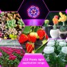 LED bulb - plant grow light - full spectrum - hydroponic - E27 - 10W - 30W - 50W - 80WGrow Lights