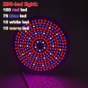 Plant grow lamp - dual head - hydroponic - full spectrum - with desk clip - 290 LED - E27Grow Lights