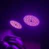 Plant grow lamp - dual head - hydroponic - full spectrum - with desk clip - 290 LED - E27Grow Lights