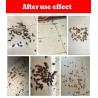 Effective cockroach killer - powder bait - insecticide - pest control - 10 piecesInsect control